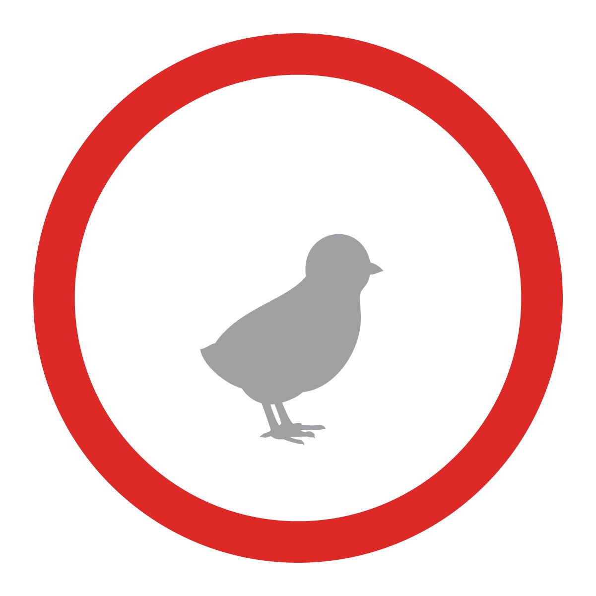 Poultry Icon