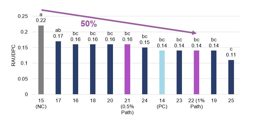 Powdery Mildew Incidence 2024