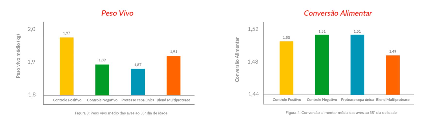 peso vivo conversão alimentar