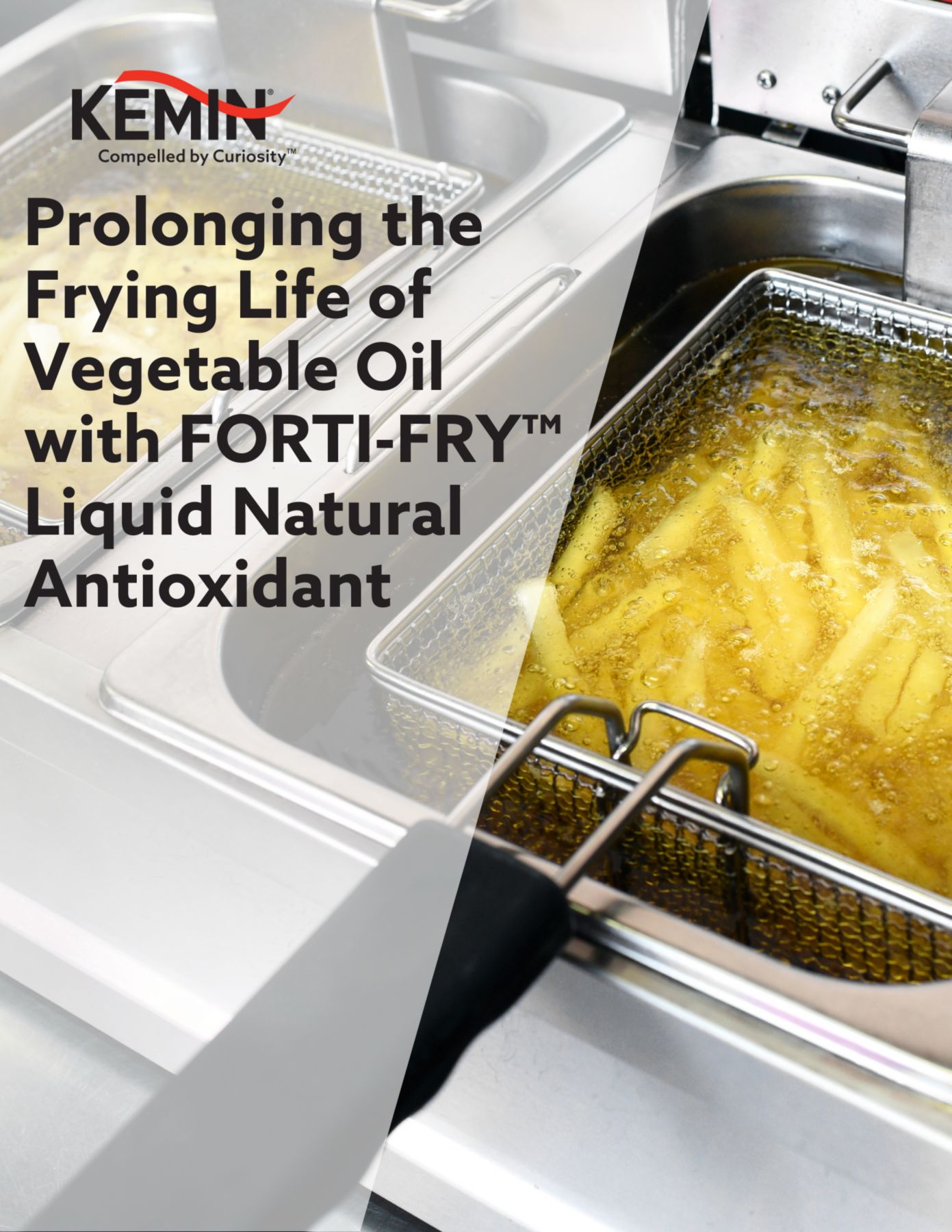Prolonging the Frying Life of Vegetable Oil with FORTI-FRY Liquid Natural Antioxidant