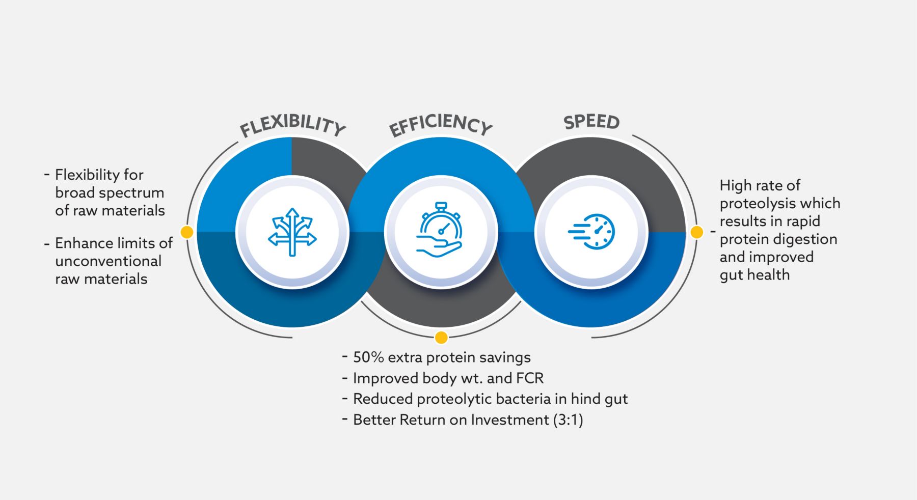 Benefits of KEMZYME® PROMACH 5