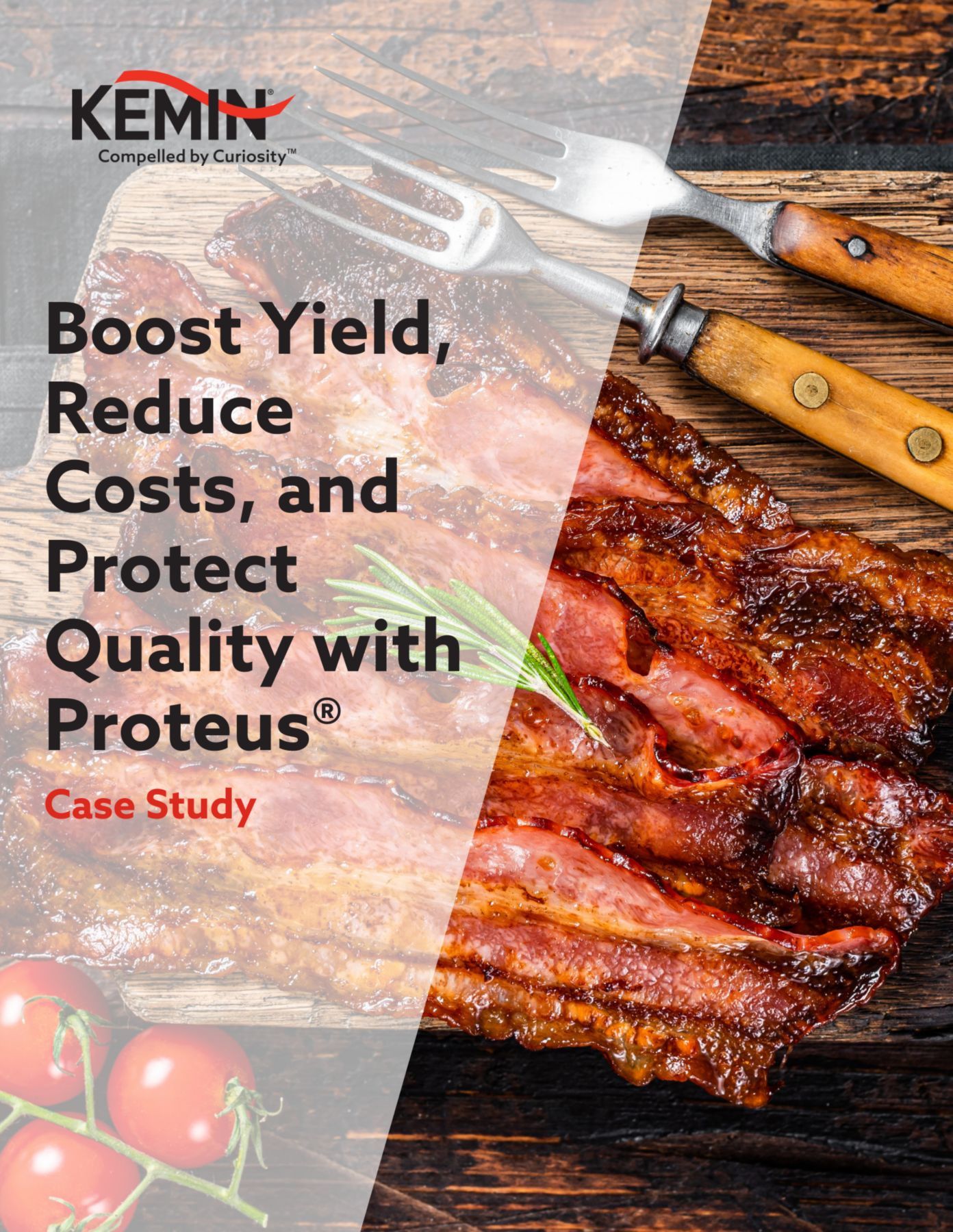 Proteus Cost Efficiency CS Download