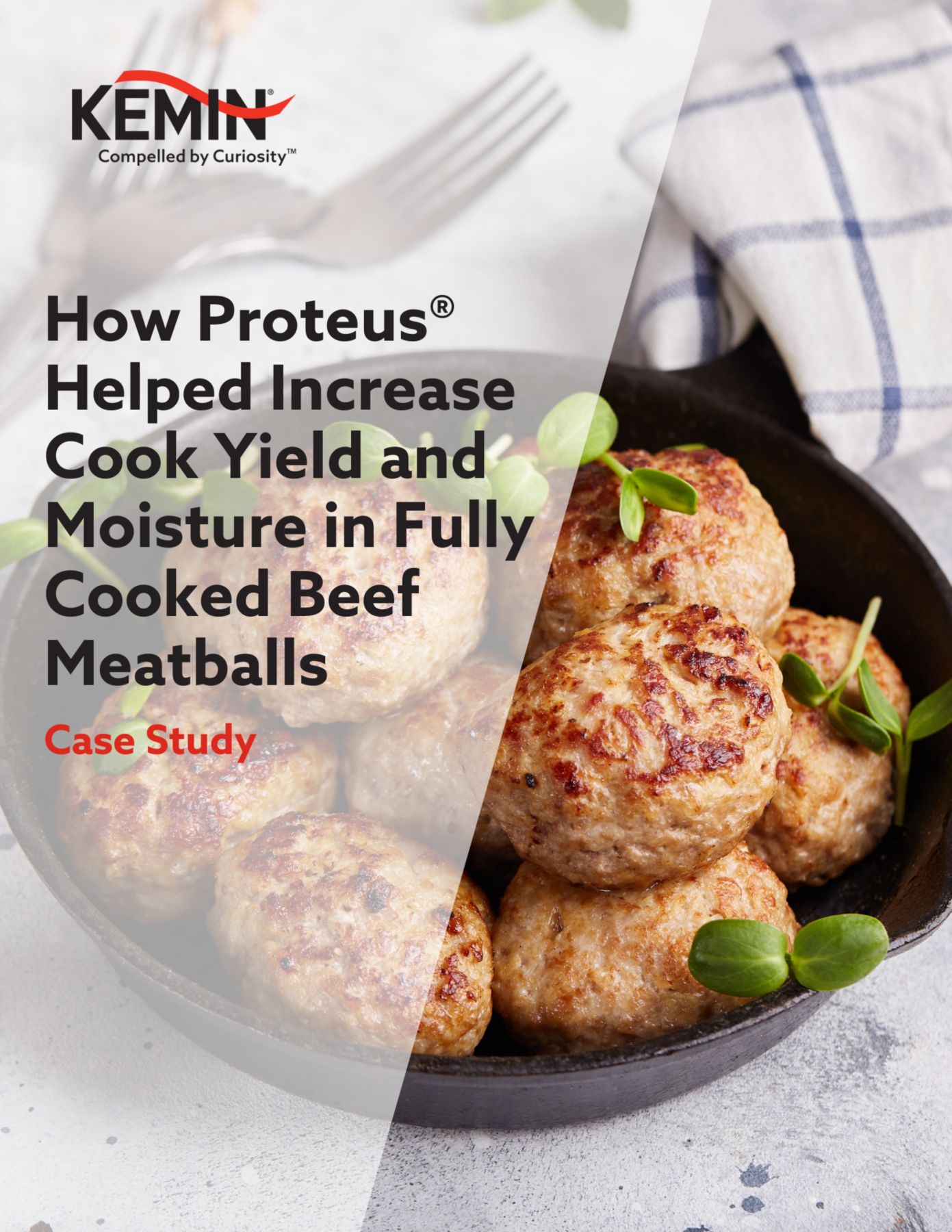 Proteus Meatball CS Download