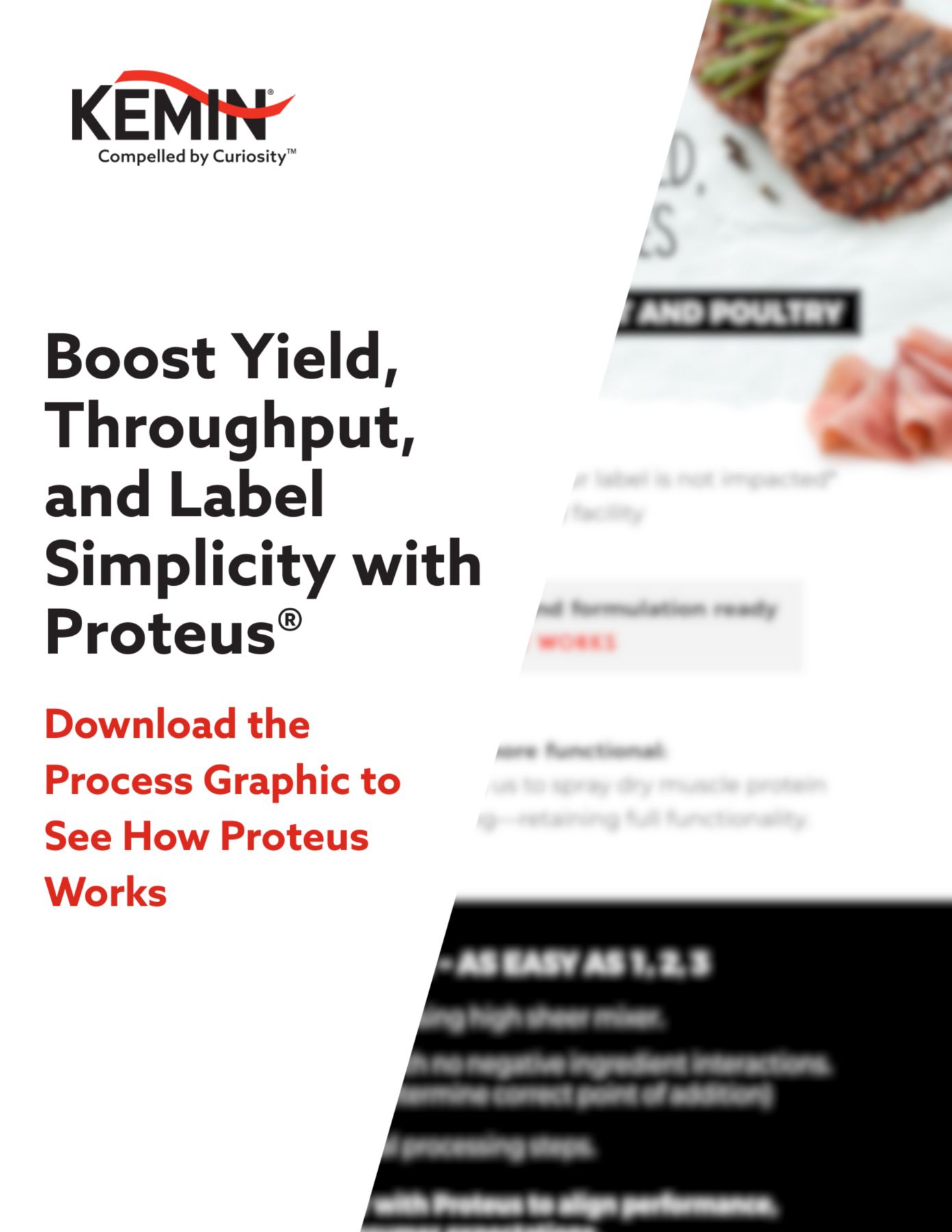 Proteus Process Graphic Download