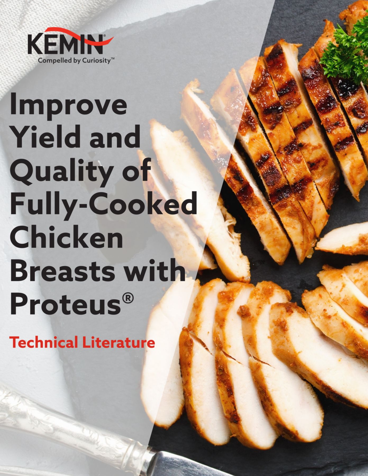 Proteus in Chicken TL