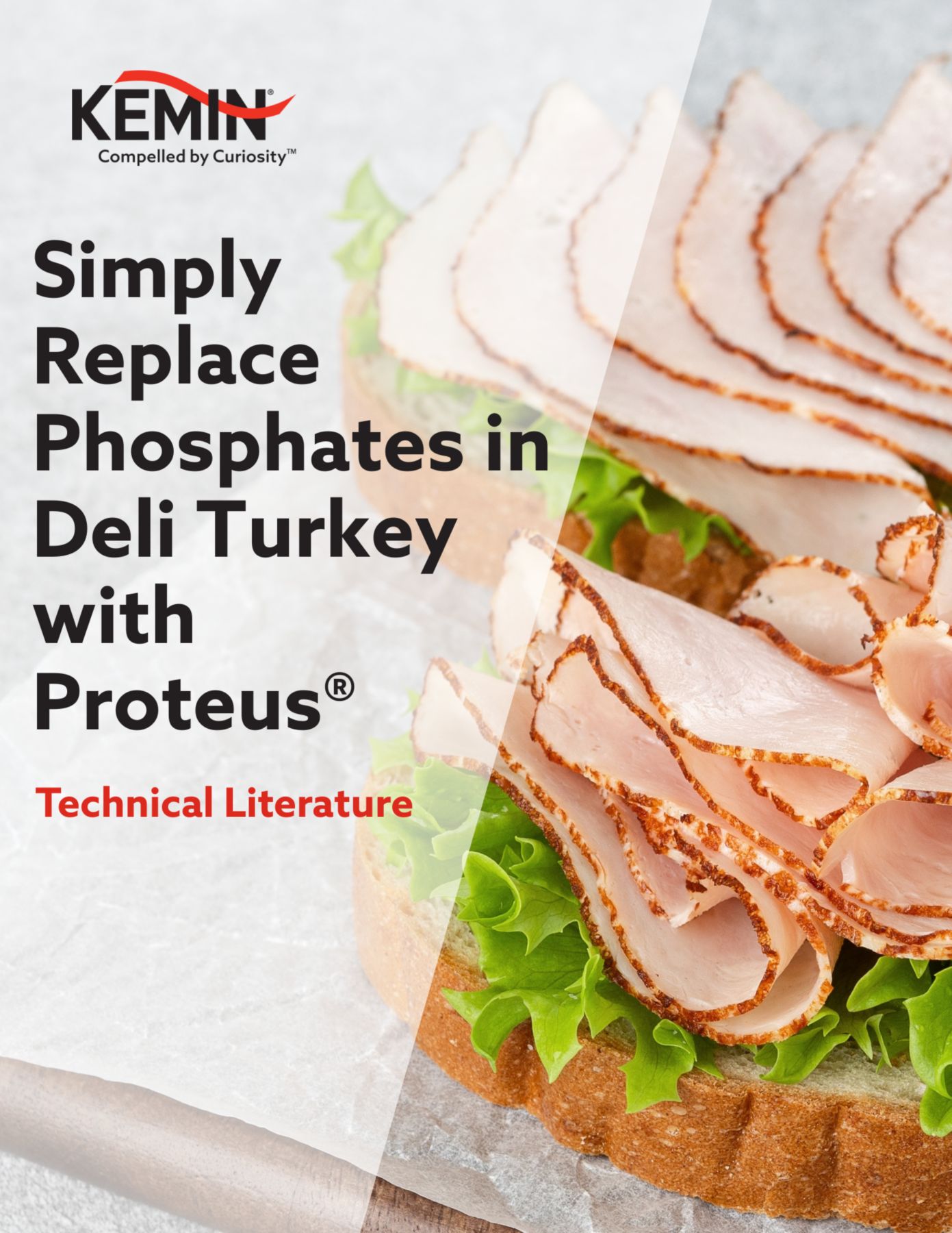 Proteus in Deli Turkey TL