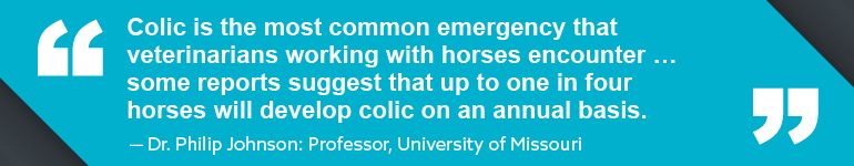 EquiSUMMIT Pull Quote - Dr. Philip Johnson