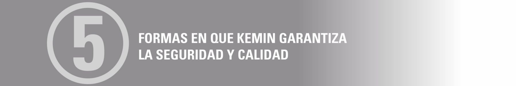 QualityandSafety5Ways_MX