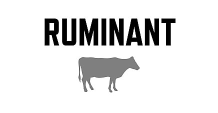 Ruminant Title 