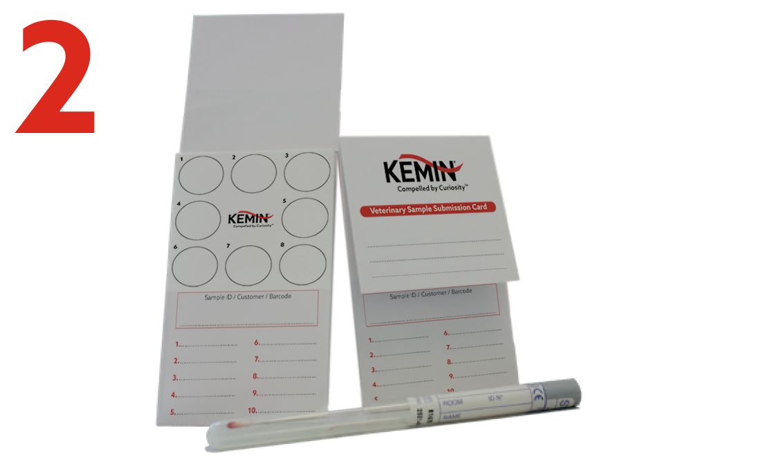 Request-Sampling-Form-and-FTA-Card-2