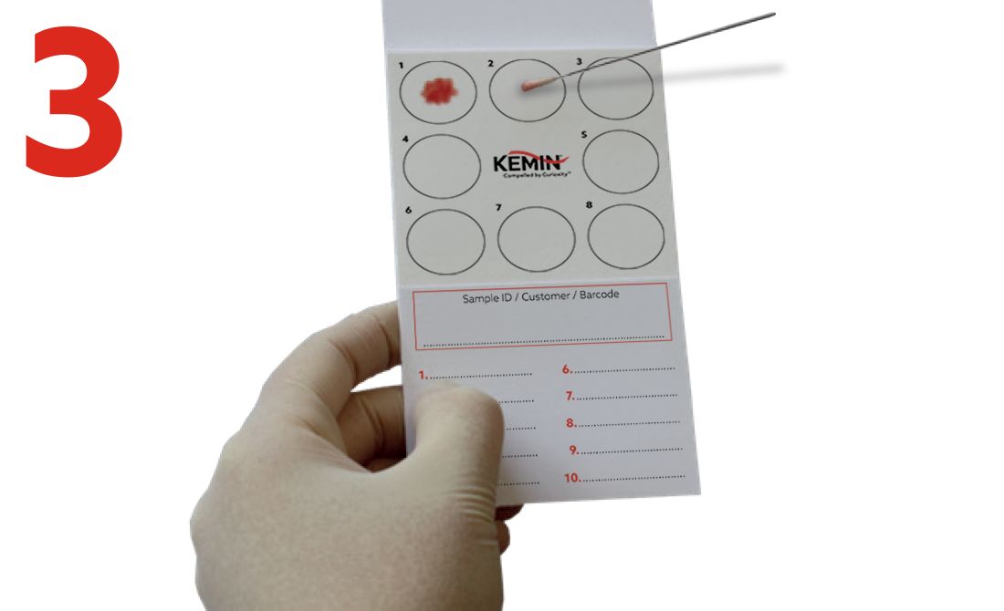 Request-Sampling-Form-and-FTA-Card-3