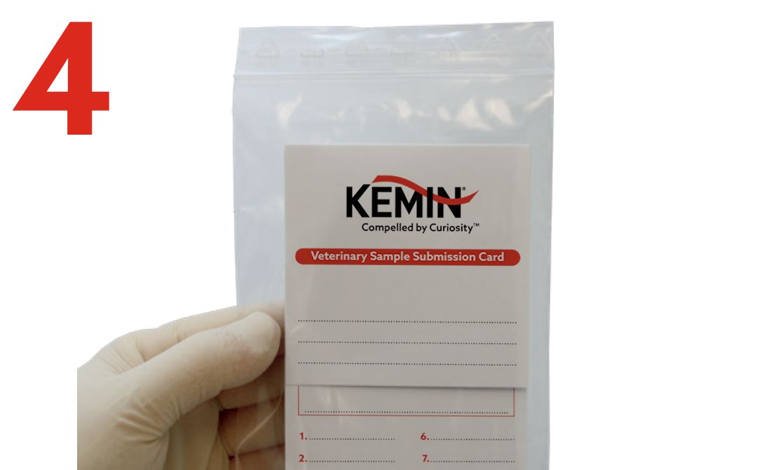 Request-Sampling-Form-and-FTA-Card-4