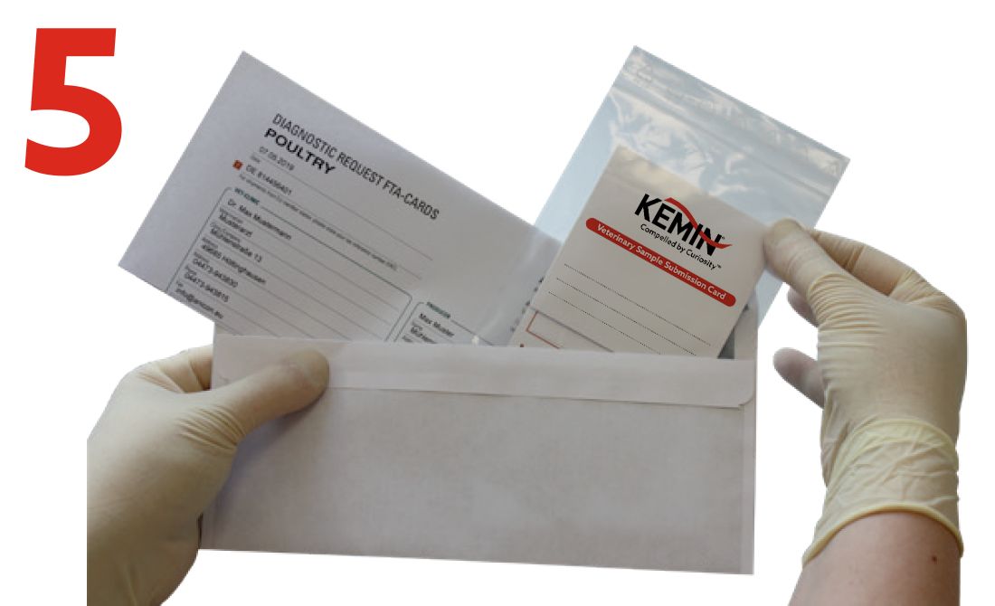 Request-Sampling-Form-and-FTA-Card-5