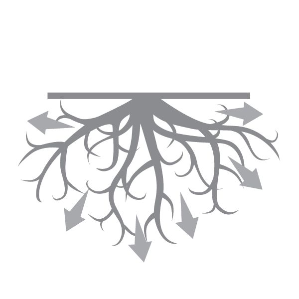 Root Growth Icon