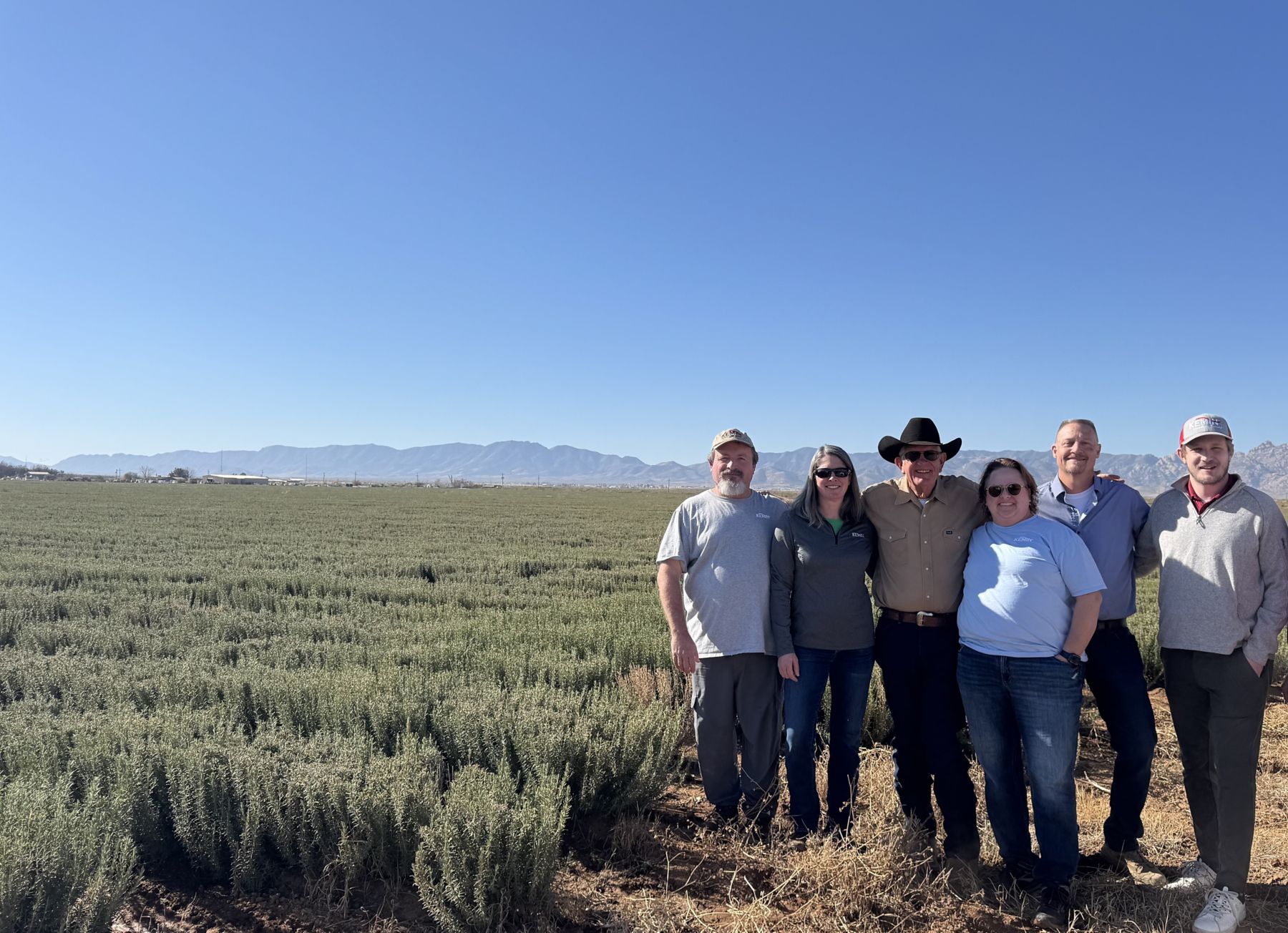 RosemaryField.Arizona