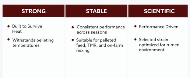 The 3S approach of RupriVia™, STRONG. STABLE. SCIENTIFIC 