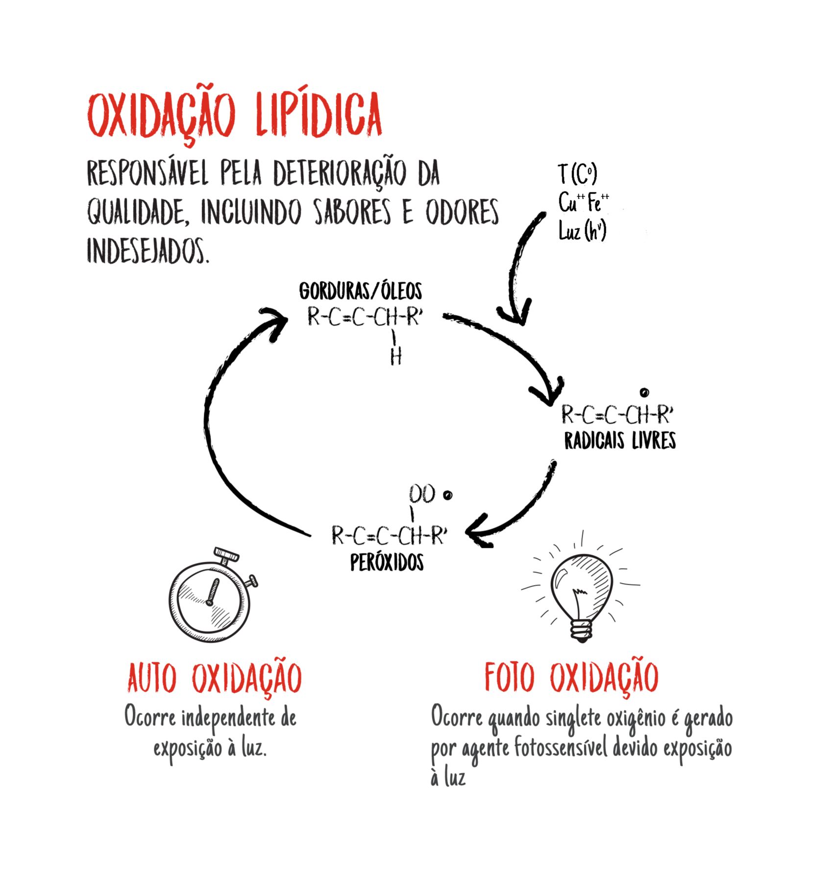 SAlipidoxidationgraphic