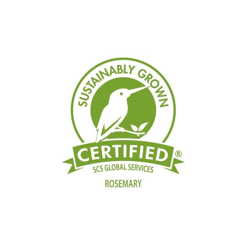 SCS Rosemary Icon