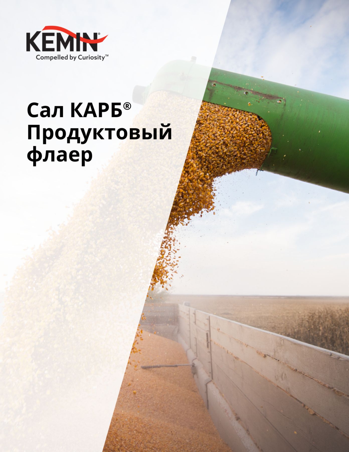 Copy of LYSOFORTE Leaflets - Maximise return on your feed through lower costs and increased efficiency