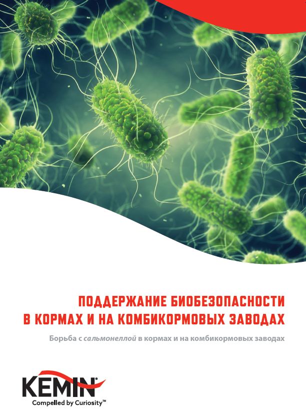 Salmonella brochure_RU