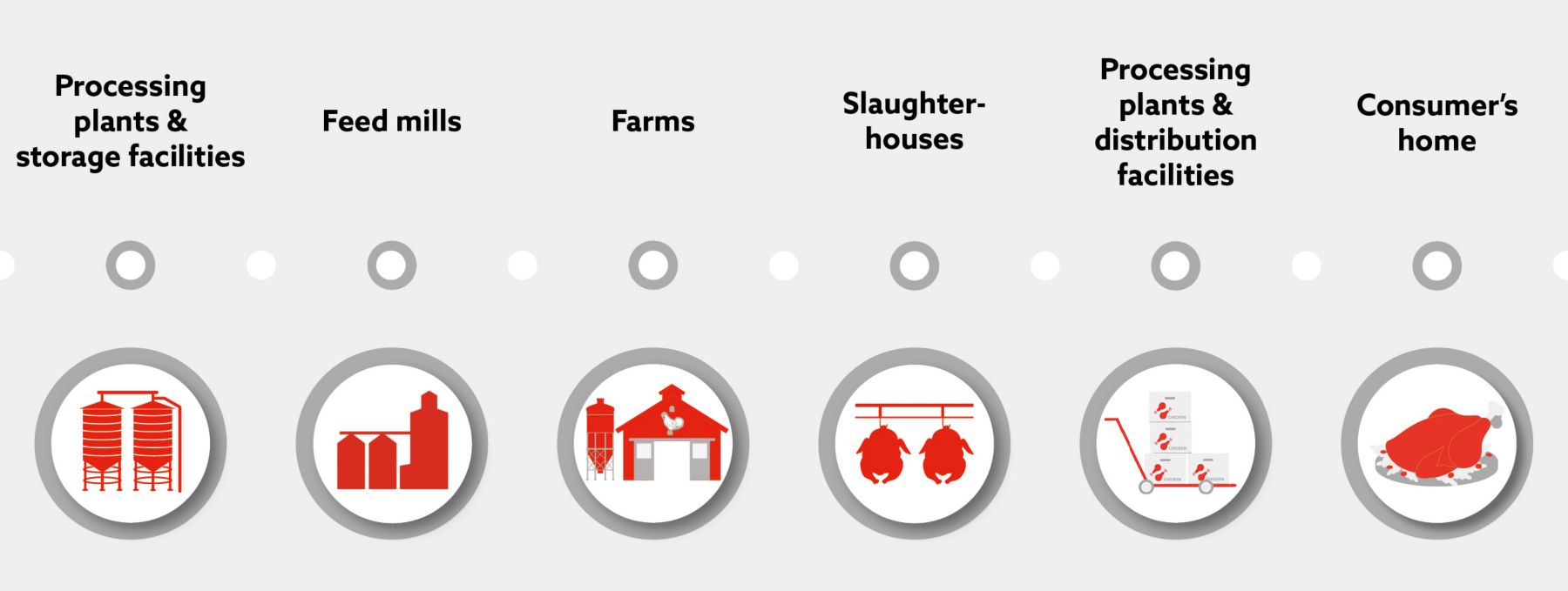 Salmonella_Feed to Food chain_2022