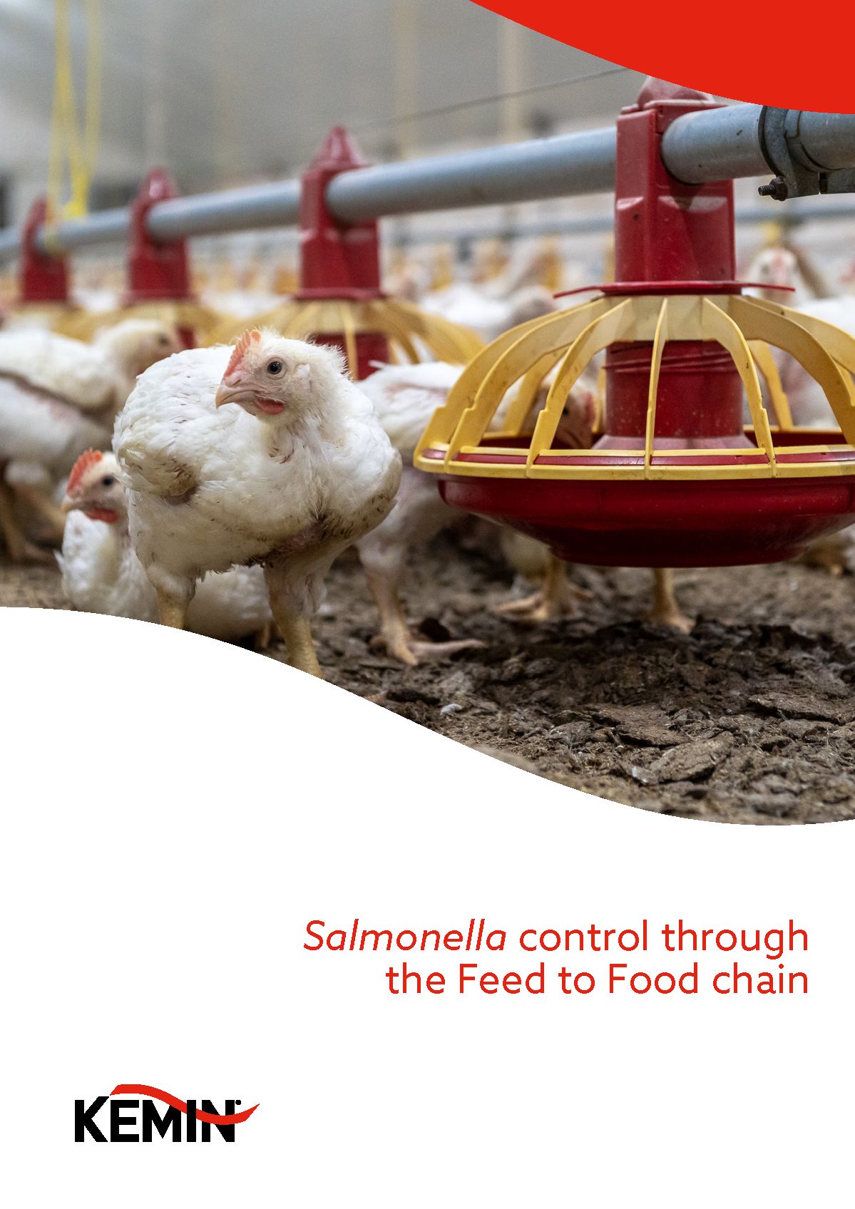 Salmonella_control_through_the_Feed_to_Food_chain_Page_01