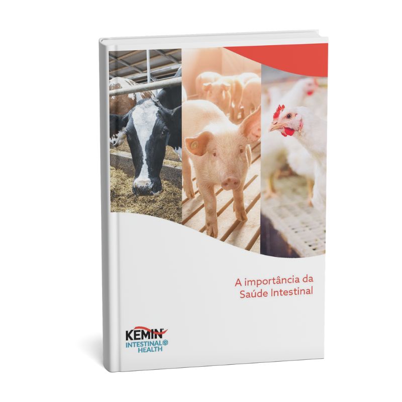 EBOOK (800 x 800 px) - Saúde Intestinal