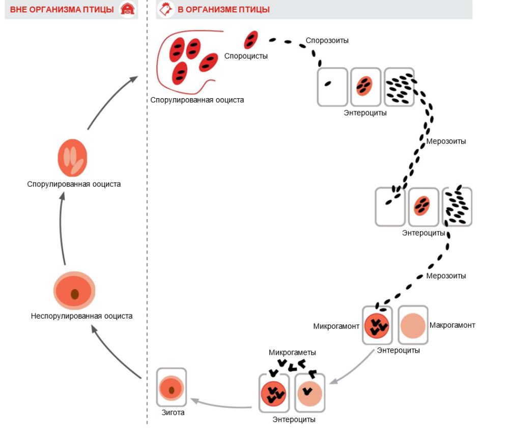 Screenshot 2025-09-29 140610