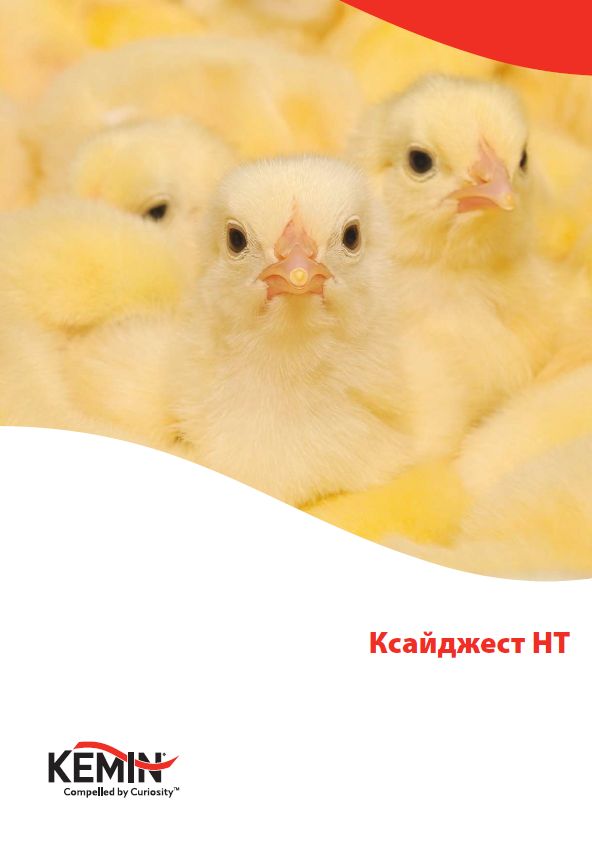 Screenshot 2026-01-12 104451