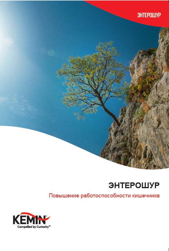 Screenshot 2026-01-12 131551