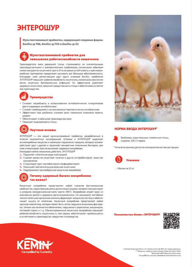 Screenshot 2026-01-12 131607