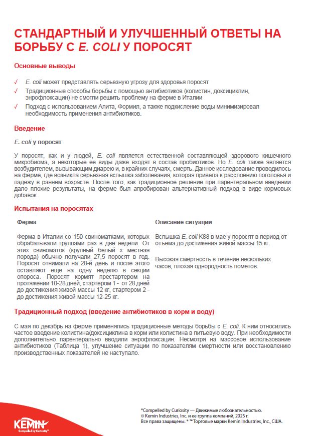 Screenshot 2026-02-12 105232