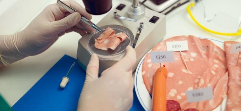 Maestría en Microbiología y Tecnología de Alimentos