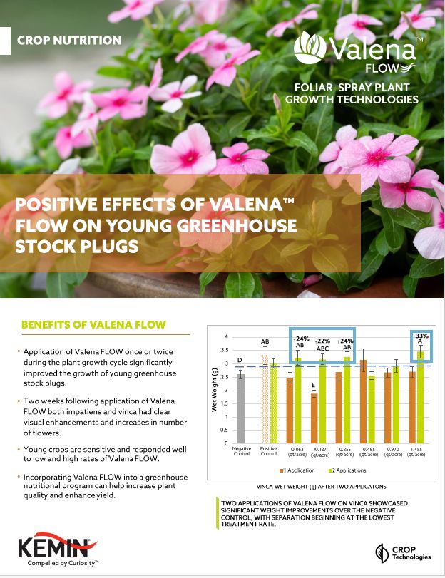 Valena FLOW - Young Stock Plugs Trial