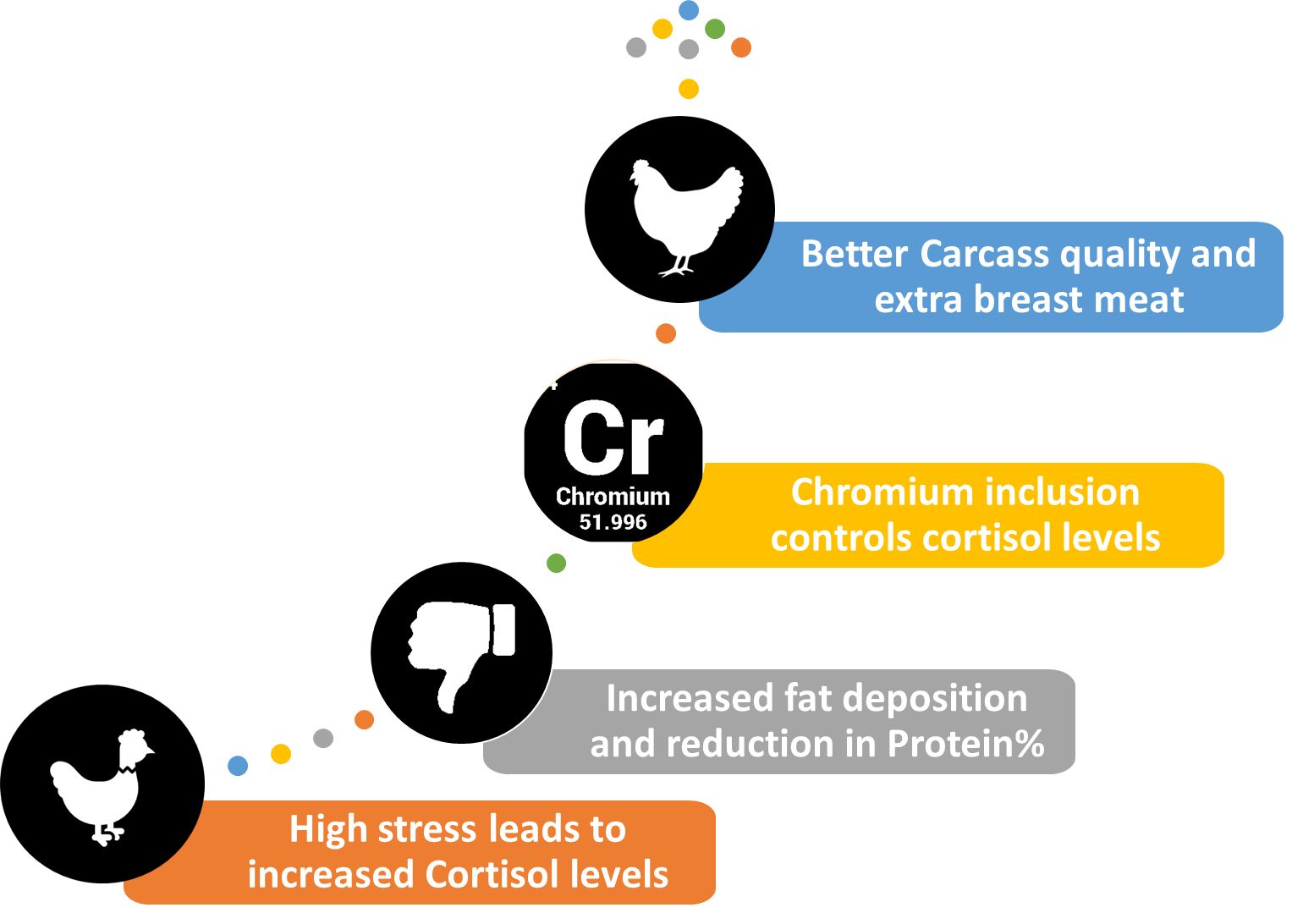 SolvingtheMystersyofChromiuminPoultry4