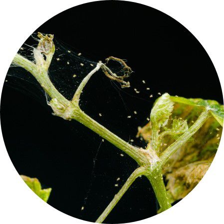 2022_shutterstock_622746416