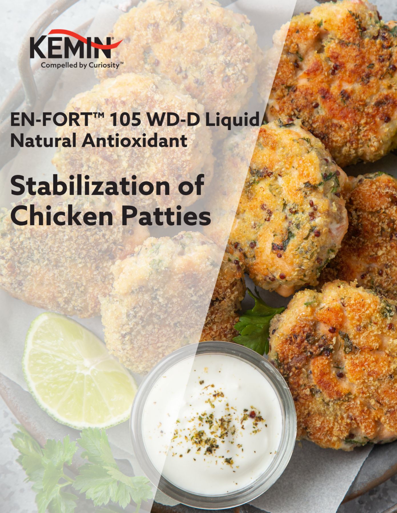 KFTEMEA Product Cover Pages - Stabilisation of Chicken Patties with EN-FORT 105 WD-D Liquid Natural Antioxidant. 