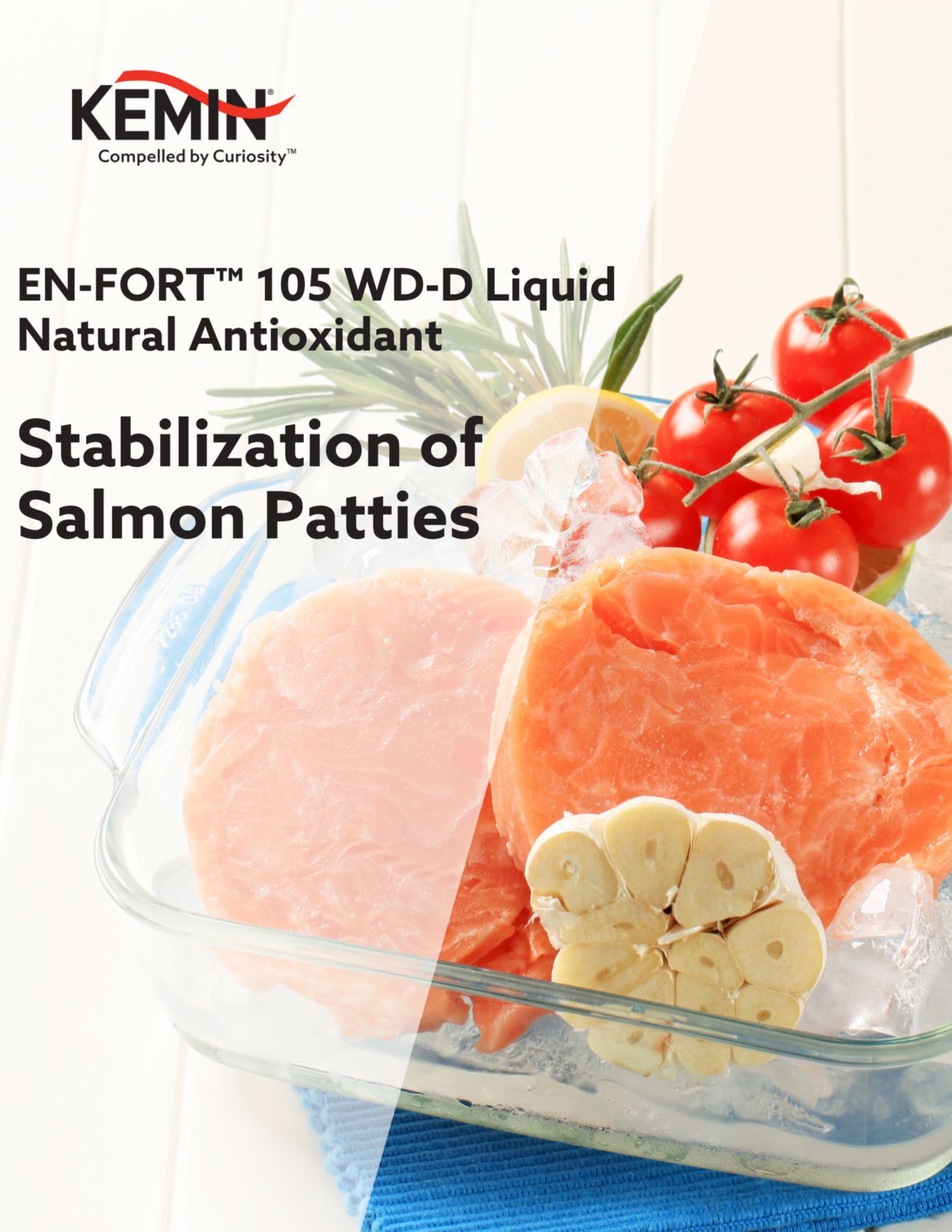KFTEMEA Product Cover Pages - Stabilisation of Salmon Patties with EN-FORT 105 WD-D Liquid Natural Antioxidant
