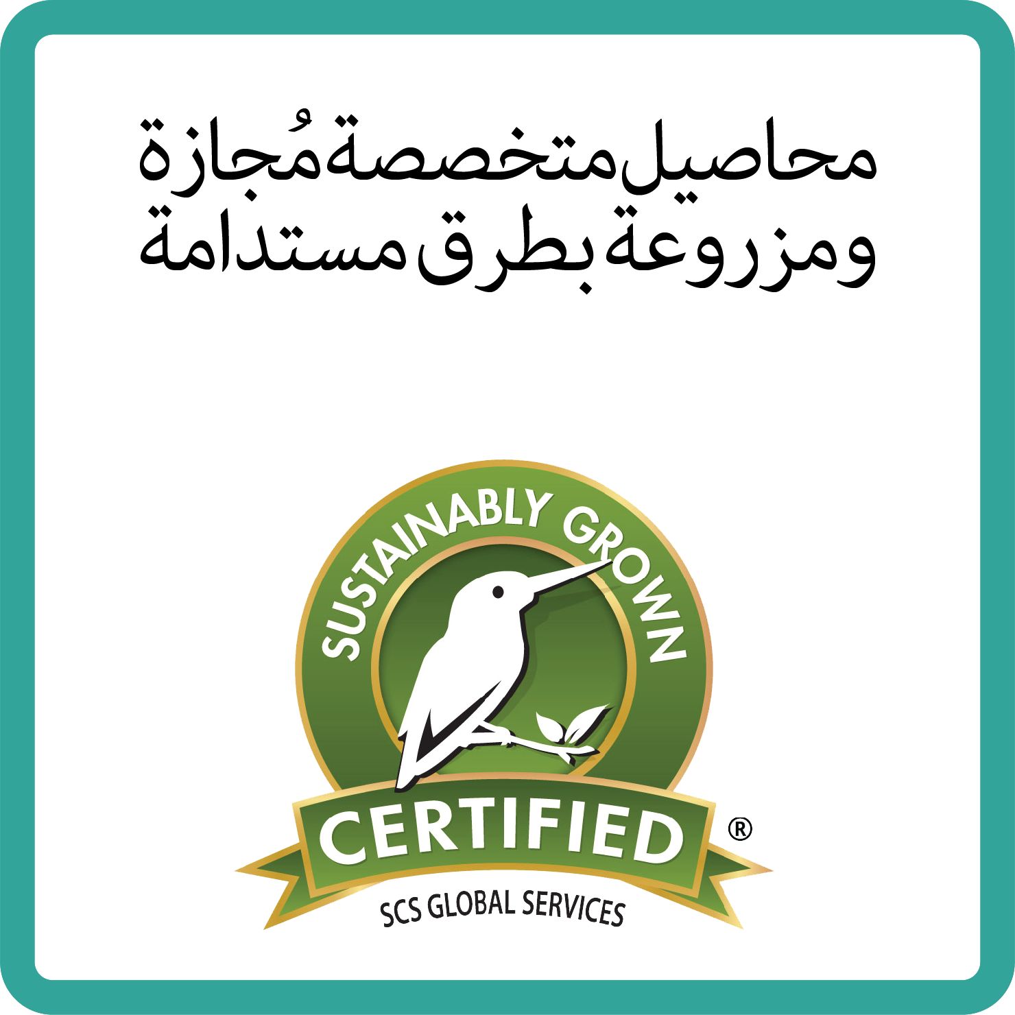 Sustainability sustainably grown_BORDER_ARABIC