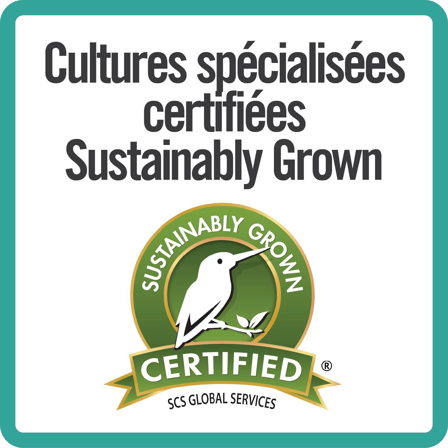 Sustainability sustainably grown_BORDER_FR