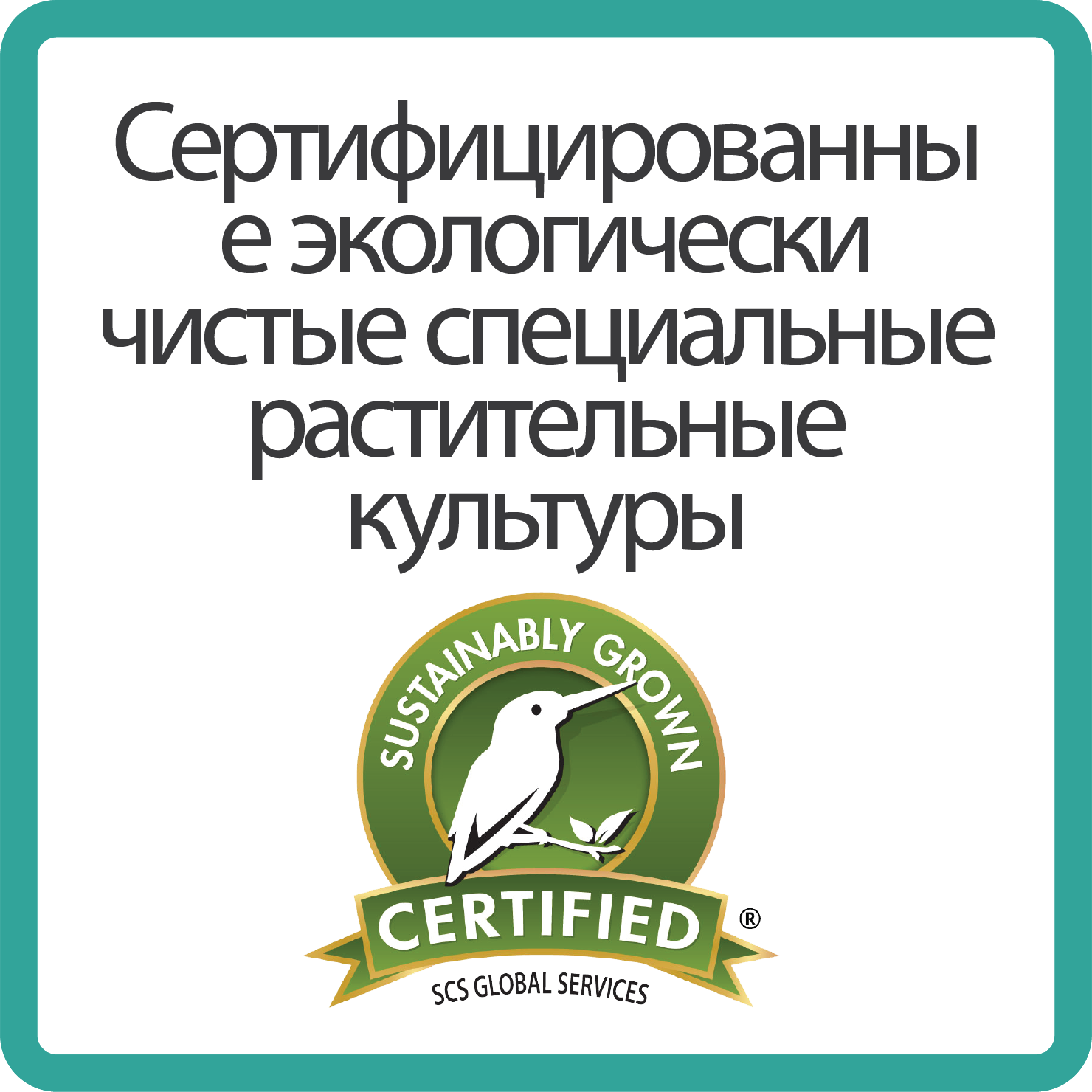 Sustainability sustainably grown_BORDER_russia
