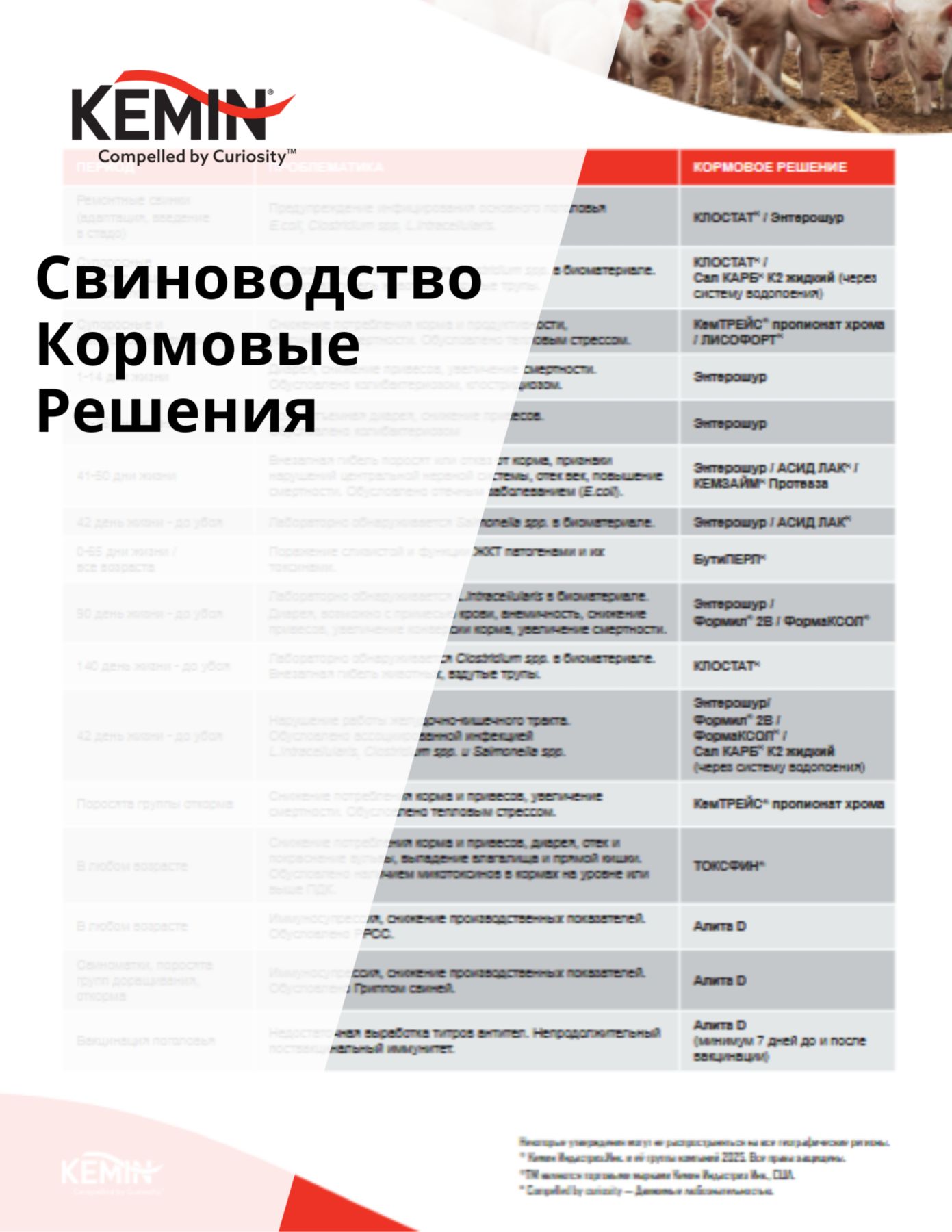 Copy of Aleta Technical Docs - Improving the sow’s nutrient supply increases production cost-efficiency