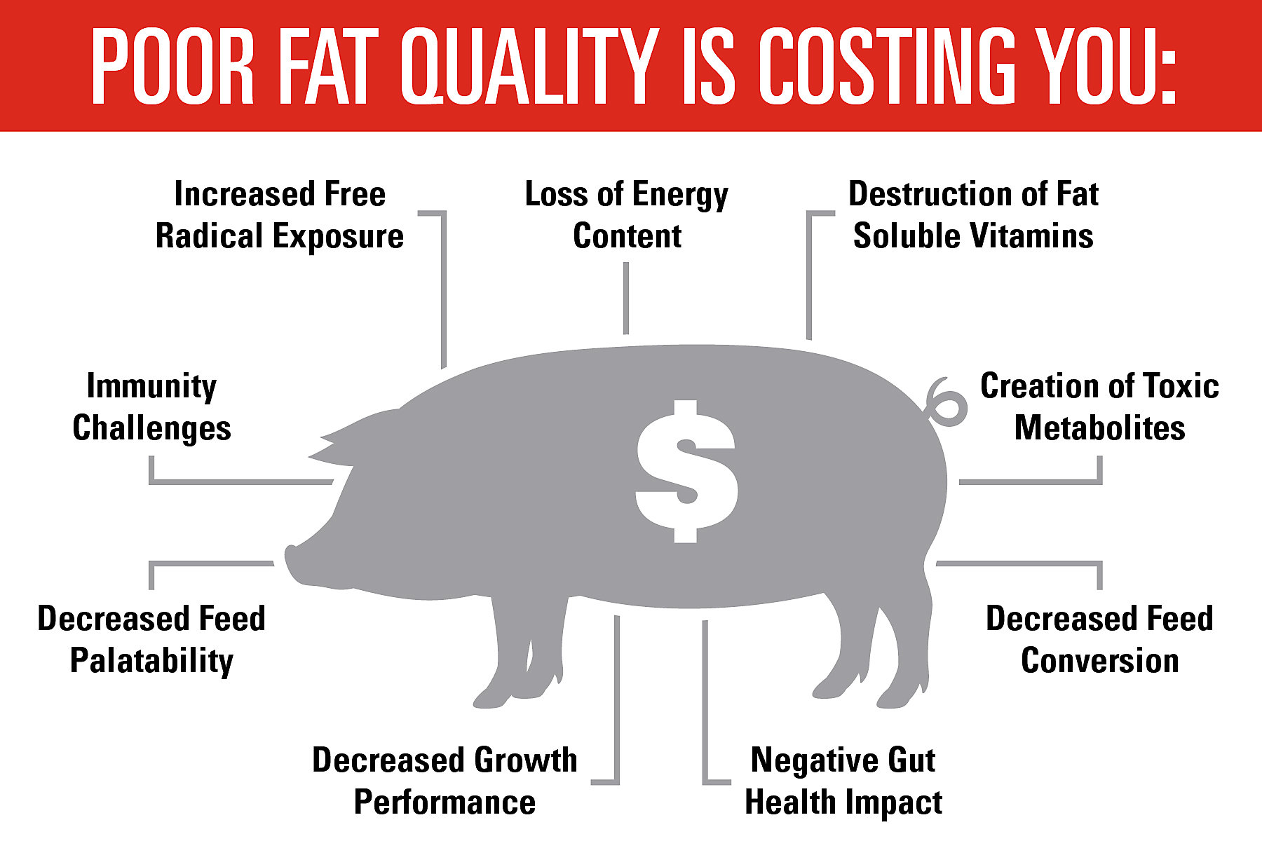 Poor Fat Quality in Swine