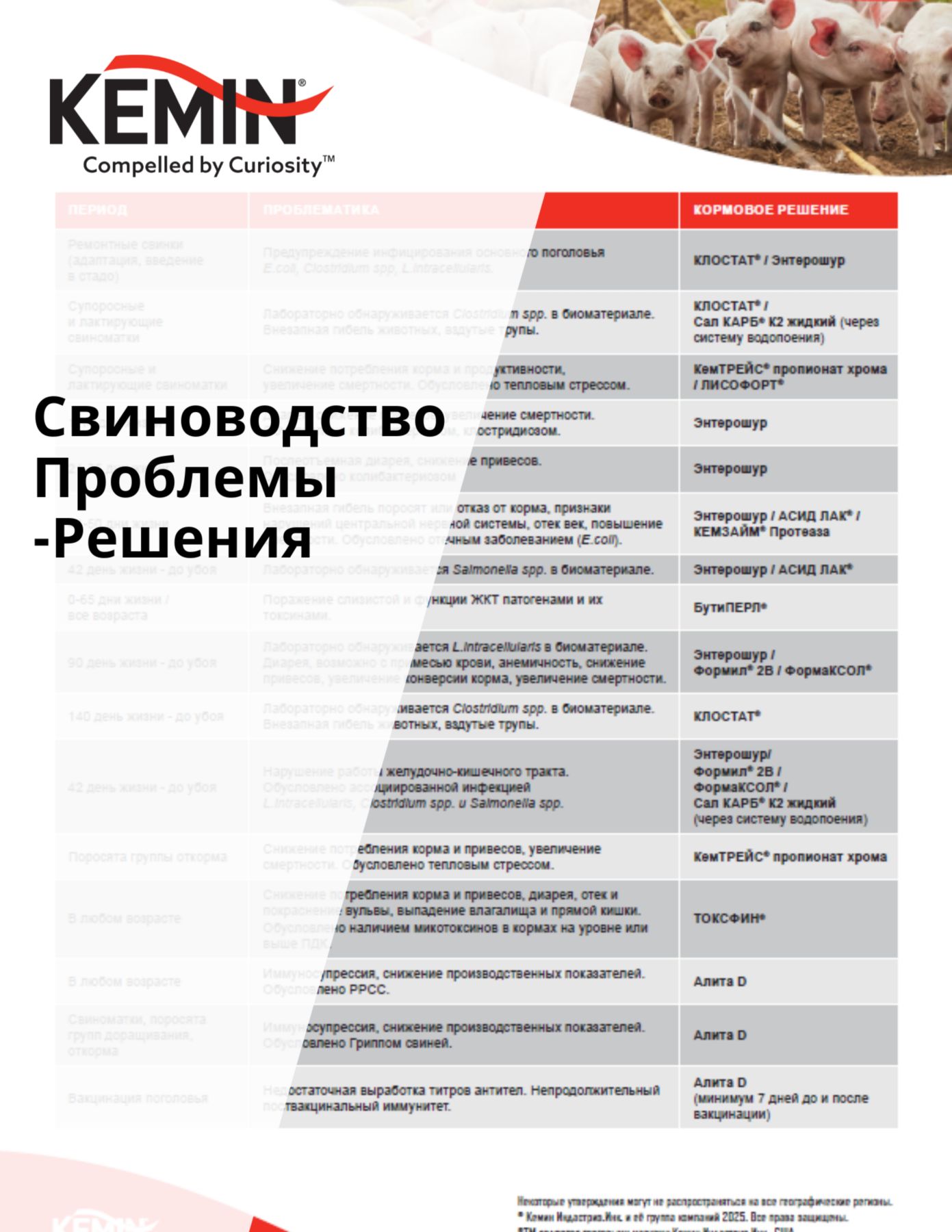 Copy of LYSOFORTE Leaflets - Maximise return on your feed through lower costs and increased efficiency
