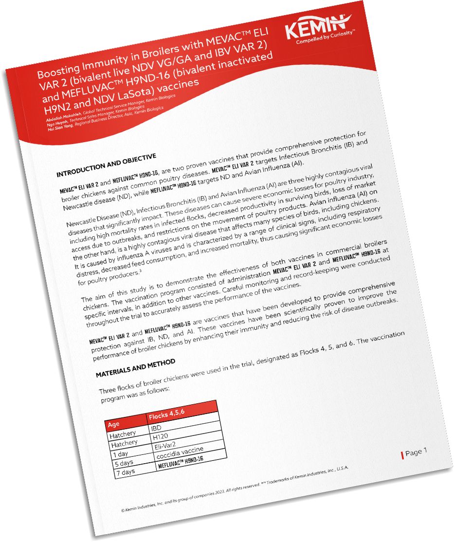 Mockup-Technical-Literature-10-TCP