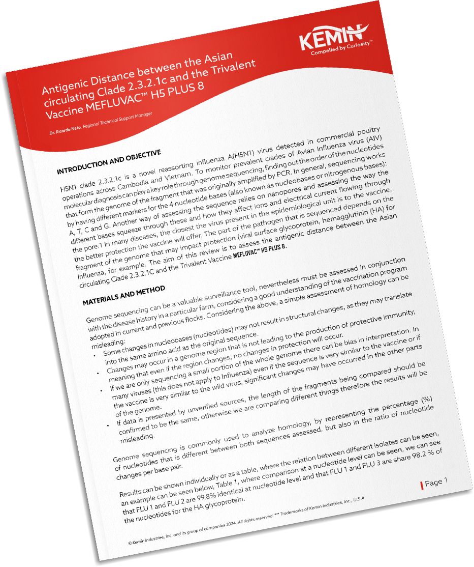 Mockup-Technical-Literature-12-TCP