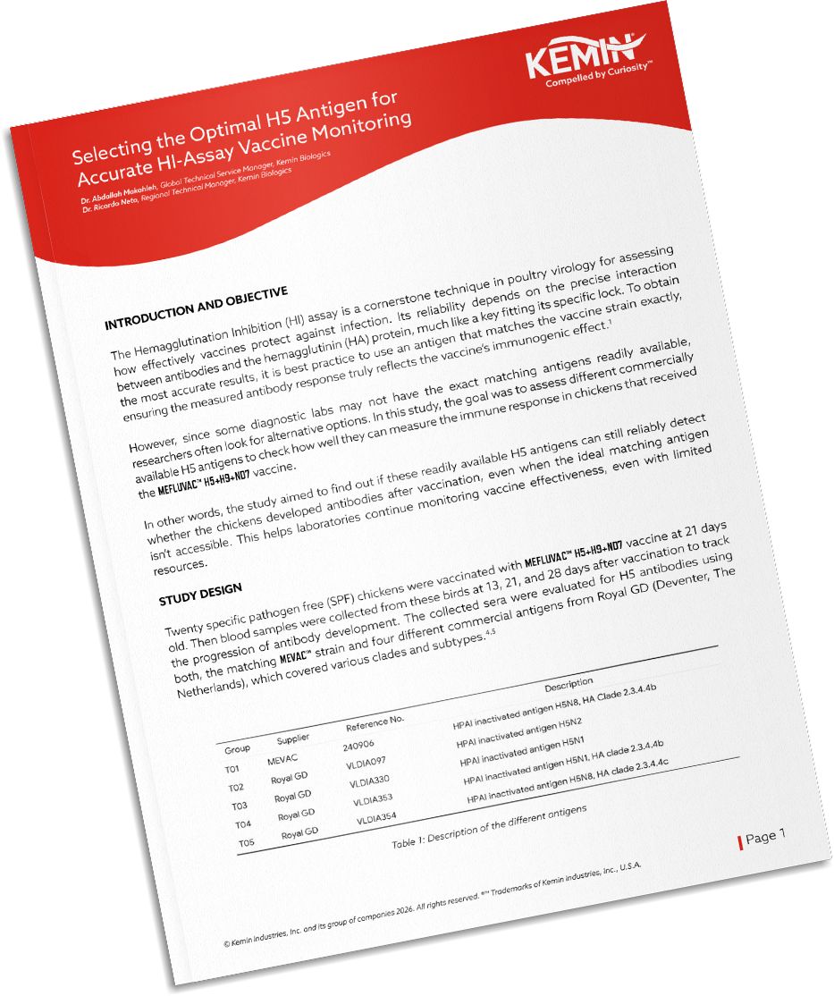 Mockup-Technical-Literature-13-TCP