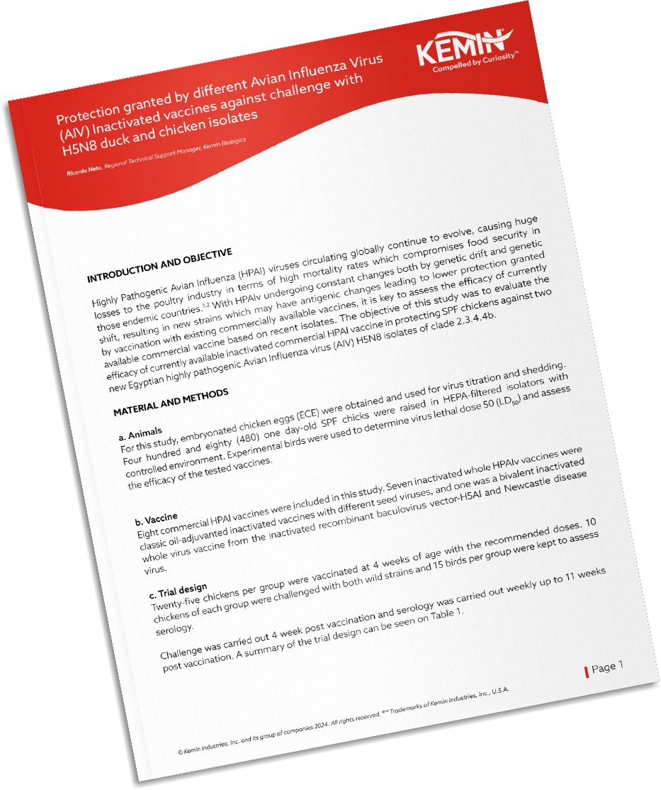 Mockup-Technical-Literature-2-TCP