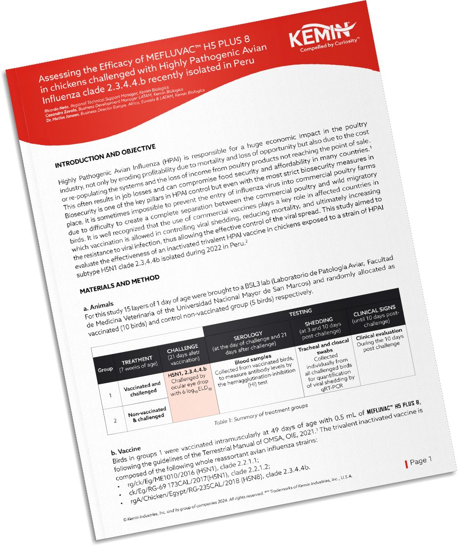 Mockup-Technical-Literature-3-TCP