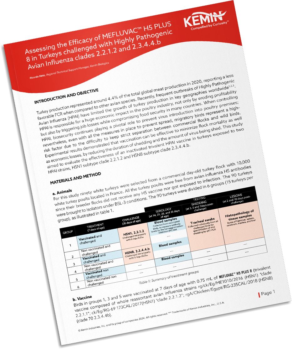 Mockup-Technical-Literature-4-TCP